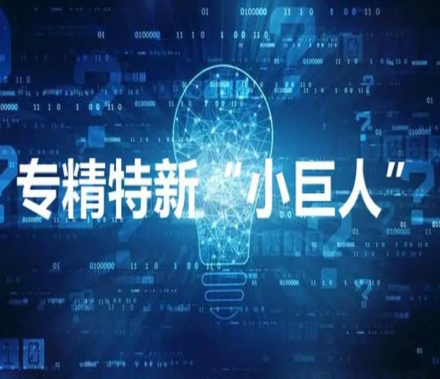 专精特新小巨人认定
